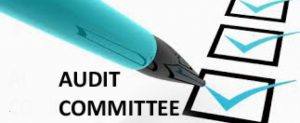 Audit Committee's Cyber Security Involvement