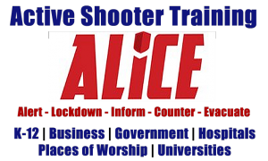 ALiCE training