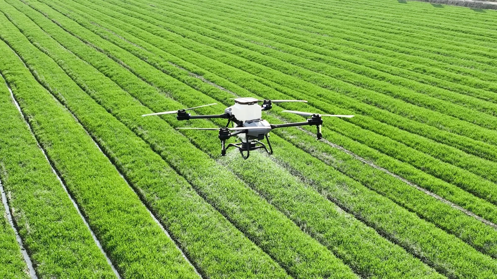 drone fertilization of crops